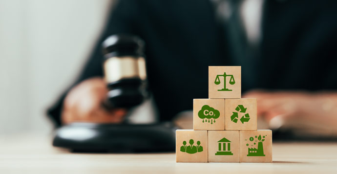 Basic Environmental Policy