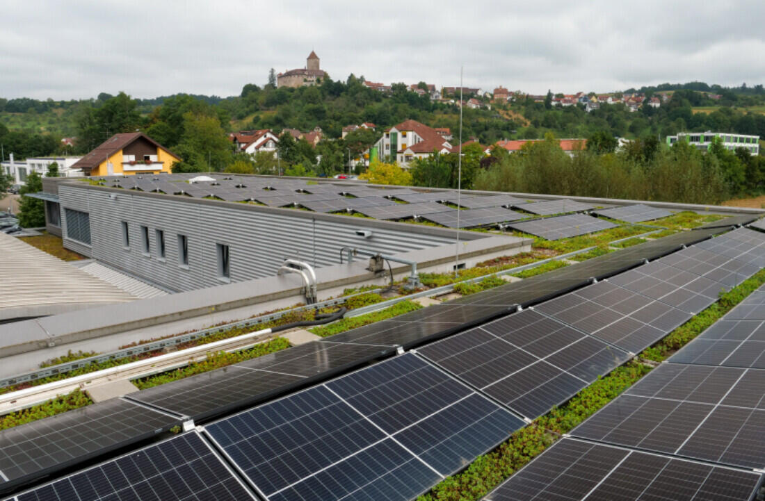 OPW_MBO_environment_01.jpg