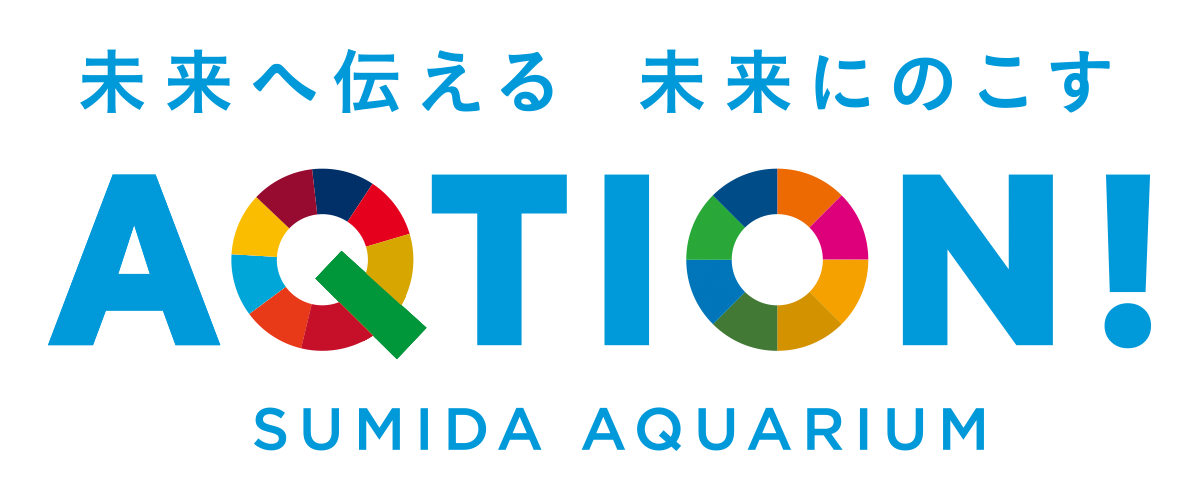 AQTION_logo_sumida.png