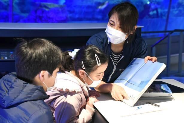 Activity example_1.jpg